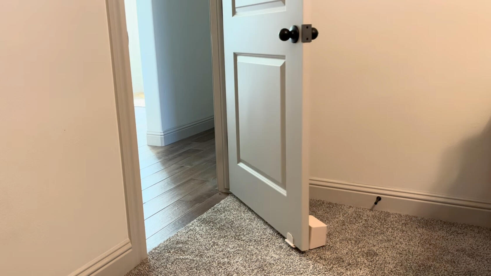 DOOR-E attached to door - patent pending